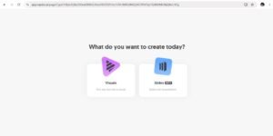 Napkin AI's starting screen, with options to create visuals or build presentations.